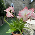 Hotel Le Manoir Du Raveyron 3*