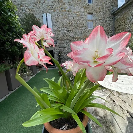 Hotel Le Manoir Du Raveyron 3*