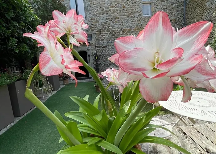 Hotel Le Manoir Du Raveyron 3*